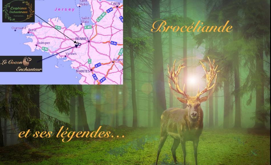 L'expérience enchanteresse loveroom en bretagne à Brocéliande
