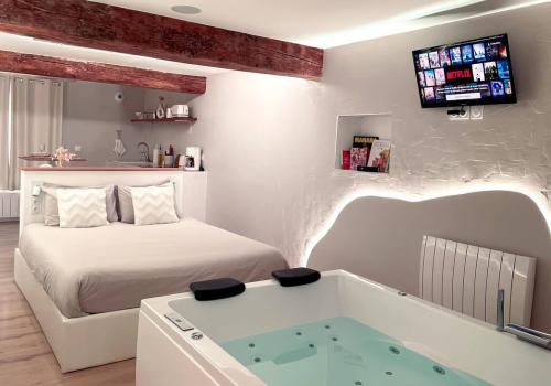 A la folie loft & spa - loveroom entre Cholet et Ancenis