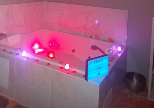 spa by elle et lui nice logement avec spa privatif loveroom