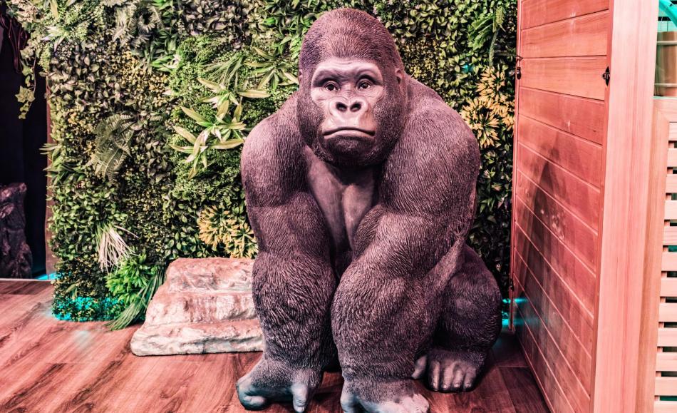 Eden Tropical jungle loveroom en Haute Saone