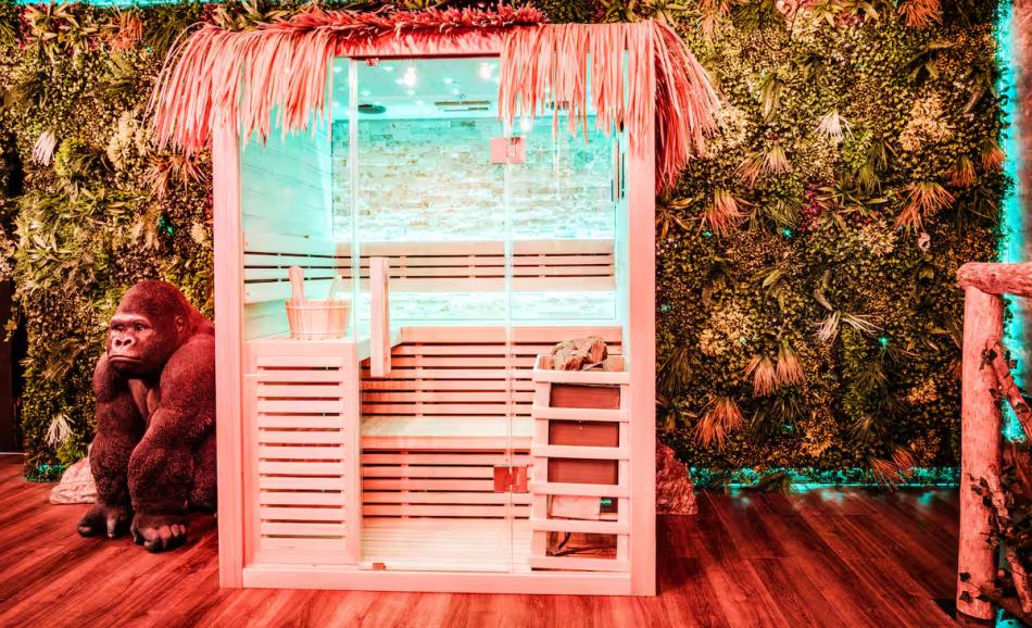 Eden Tropical loveroom romantique en Haute Saone