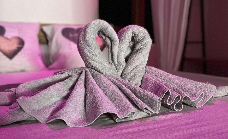 L'excellence love room avignon serviettes cygnes