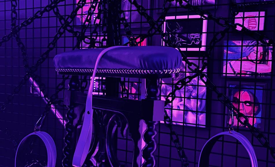 La DS - l'araignée de la loveroom érotique