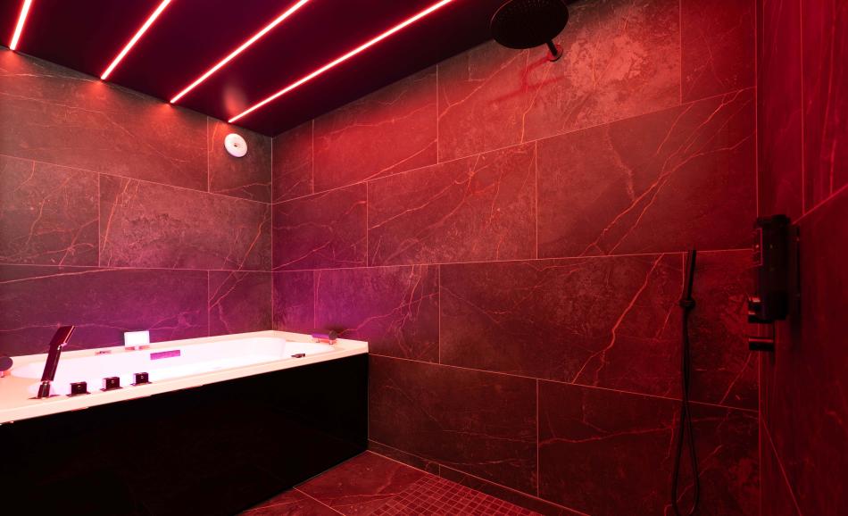 Le Donjon loveroom Lyon