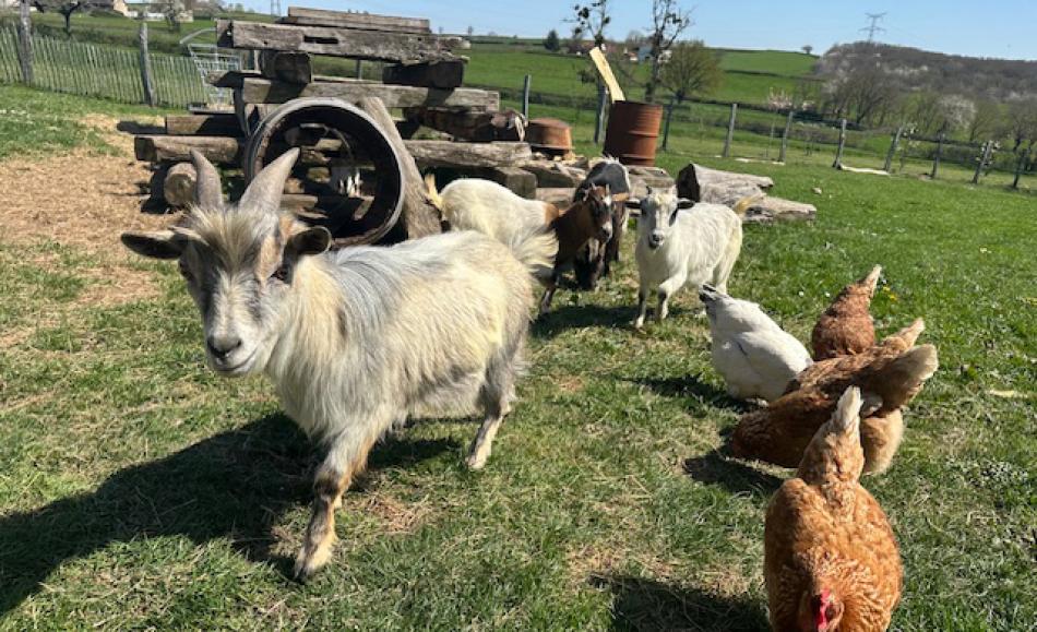 Nuit insolite en Bourgogne dans la cabane spa du Domaine du Moulin